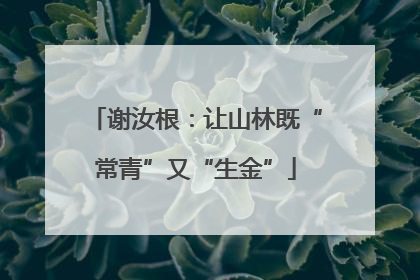 谢汝根：让山林既“常青”又“生金”
