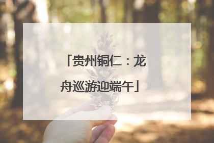 贵州铜仁：龙舟巡游迎端午