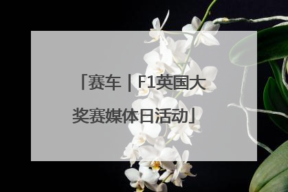赛车｜F1英国大奖赛媒体日活动