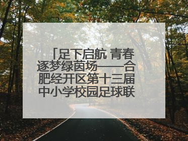 足下启航 青春逐梦绿茵场——合肥经开区第十三届中小学校园足球联赛圆满收官