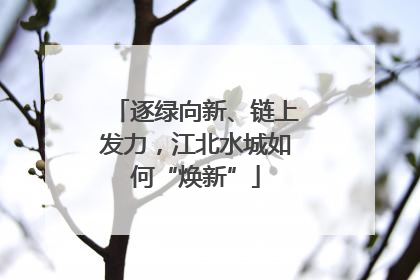 逐绿向新、链上发力，江北水城如何“焕新”