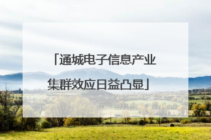 通城电子信息产业集群效应日益凸显