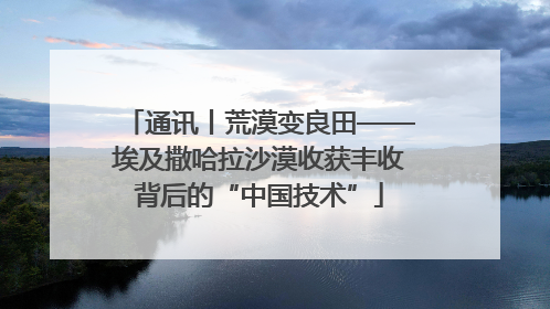 通讯丨荒漠变良田——埃及撒哈拉沙漠收获丰收背后的“中国技术”