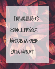 郎溪县陈玲名师工作室送培送教活动走进实验初中