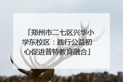 郑州市二七区兴华小学东校区：践行公益初心促进普特教育融合