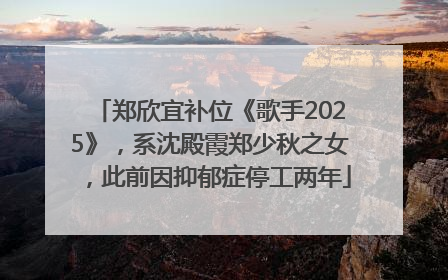 郑欣宜补位《歌手2025》，系沈殿霞郑少秋之女，此前因抑郁症停工两年