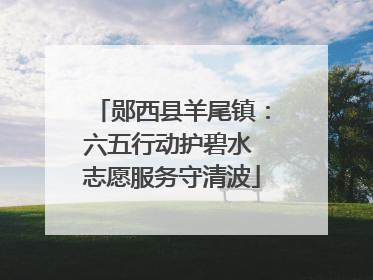 郧西县羊尾镇：六五行动护碧水 志愿服务守清波