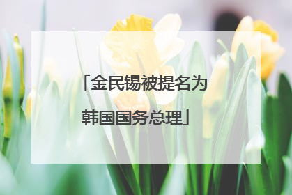 金民锡被提名为韩国国务总理