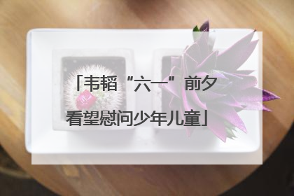 韦韬“六一”前夕看望慰问少年儿童