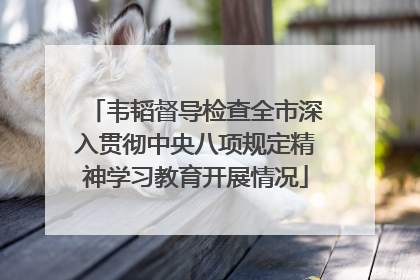 韦韬督导检查全市深入贯彻中央八项规定精神学习教育开展情况