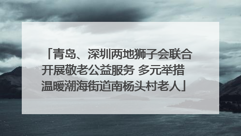 青岛、深圳两地狮子会联合开展敬老公益服务 多元举措温暖潮海街道南杨头村老人