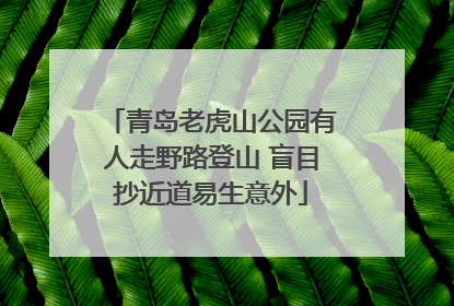 青岛老虎山公园有人走野路登山 盲目抄近道易生意外