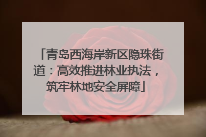 青岛西海岸新区隐珠街道：高效推进林业执法，筑牢林地安全屏障