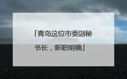 青岛这位市委副秘书长，新职明确