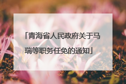 青海省人民政府关于马瑞等职务任免的通知