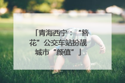 青海西宁：“簪花”公交车站扮靓城市“颜值”