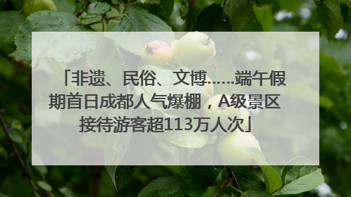 非遗、民俗、文博……端午假期首日成都人气爆棚，A级景区接待游客超113万人次