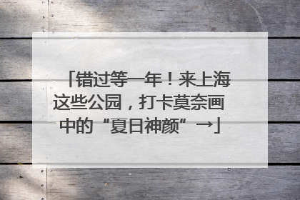 错过等一年！来上海这些公园，打卡莫奈画中的“夏日神颜”→
