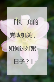 长三角的党政机关，如何过好紧日子？