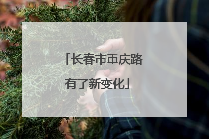 长春市重庆路有了新变化