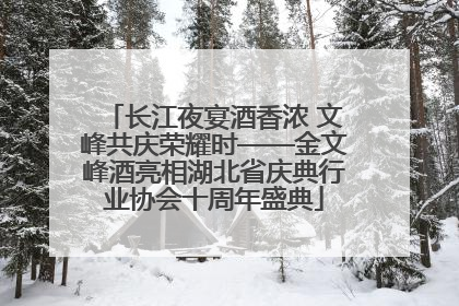 长江夜宴酒香浓 文峰共庆荣耀时——金文峰酒亮相湖北省庆典行业协会十周年盛典