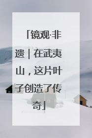 镜观·非遗｜在武夷山，这片叶子创造了传奇