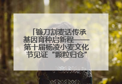 镰刀割麦话传承 基因育种启新程——第十届杨凌小麦文化节见证“颗粒归仓”时空跨越