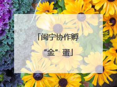 闽宁协作孵“金”蛋