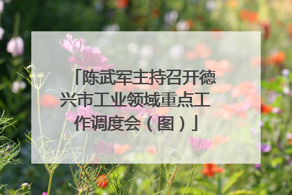 陈武军主持召开德兴市工业领域重点工作调度会（图）