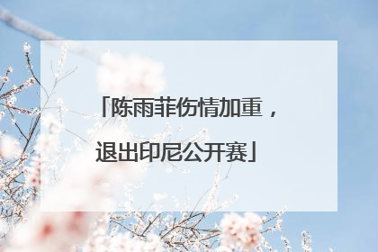 陈雨菲伤情加重，退出印尼公开赛