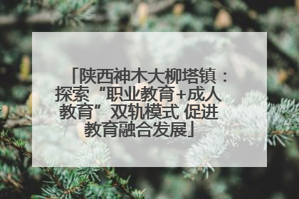 陕西神木大柳塔镇：探索“职业教育+成人教育”双轨模式 促进教育融合发展