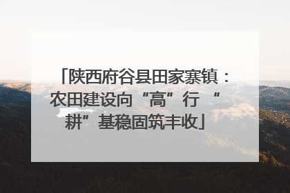 陕西府谷县田家寨镇：农田建设向“高”行 “耕”基稳固筑丰收