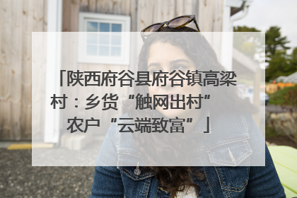 陕西府谷县府谷镇高梁村：乡货“触网出村” 农户“云端致富”