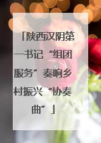 陕西汉阴第一书记“组团服务”奏响乡村振兴“协奏曲”