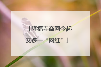 隆福寺商圈今起又多一“网红”