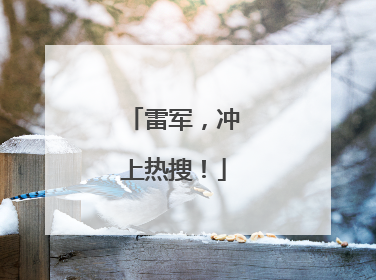 雷军，冲上热搜！