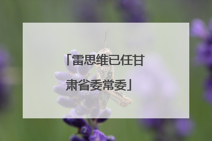 雷思维已任甘肃省委常委