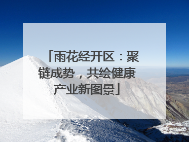 雨花经开区：聚链成势，共绘健康产业新图景