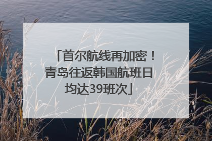首尔航线再加密！青岛往返韩国航班日均达39班次
