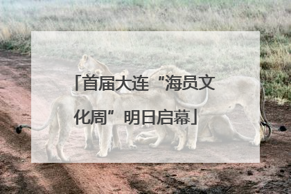 首届大连“海员文化周”明日启幕
