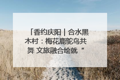 香约庆阳｜合水黑木村：梅花鹿鸵鸟共舞 文旅融合绘就“诗与远方”