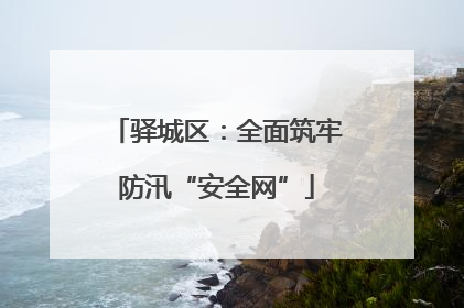 驿城区：全面筑牢防汛“安全网”