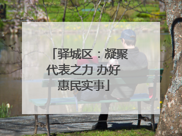 驿城区：凝聚代表之力 办好惠民实事