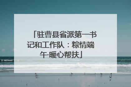 驻曹县省派第一书记和工作队：粽情端午·暖心帮扶