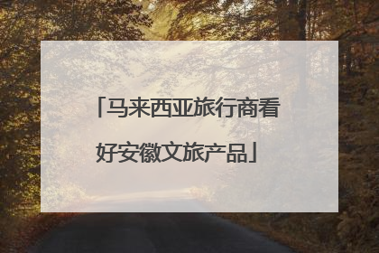 马来西亚旅行商看好安徽文旅产品