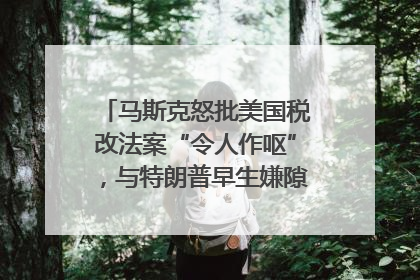 马斯克怒批美国税改法案“令人作呕”，与特朗普早生嫌隙？｜国际识局