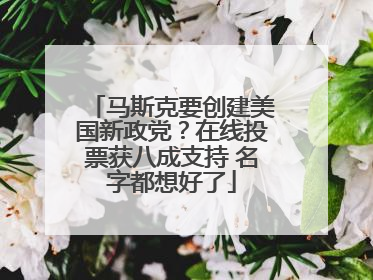 马斯克要创建美国新政党？在线投票获八成支持 名字都想好了