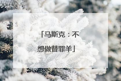 马斯克：不想做替罪羊