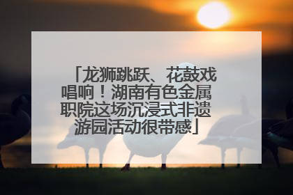 龙狮跳跃、花鼓戏唱响！湖南有色金属职院这场沉浸式非遗游园活动很带感