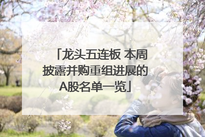 龙头五连板 本周披露并购重组进展的A股名单一览